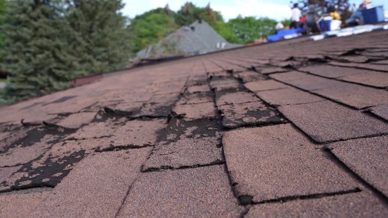 Best Steel Roofing  in Locust Fork, AL