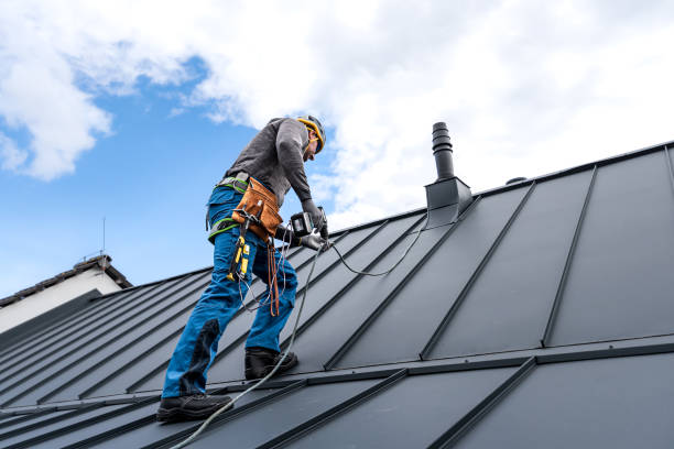 Best Storm Damage Roof Repair  in Locust Fork, AL